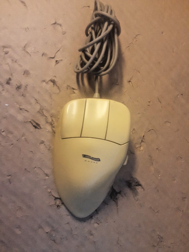 Contour mouse large - large, l-38
